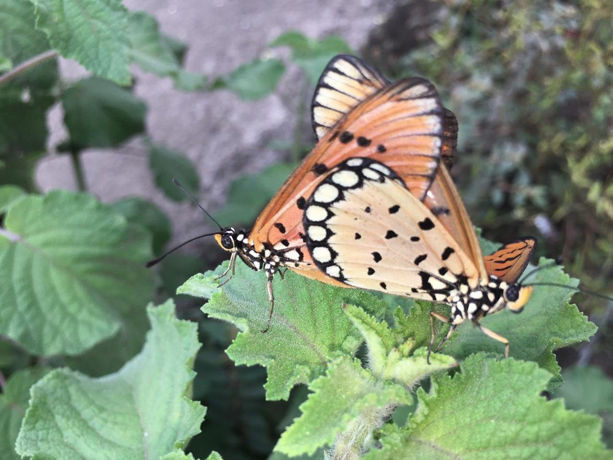 Arudevkate's tweet photo. #WorldPhotographyDay https://t.co/5g7oWCD1Gs