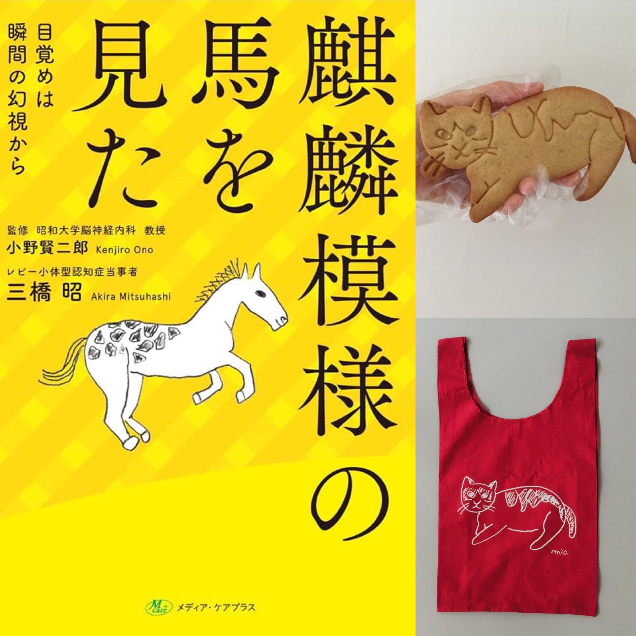 Hasu No Hana 24日から二階 Ejimasou2f で 三橋昭 幻視展 はじまります ヘタウマ的ゆるくて かわいいイラストは 三橋さんが毎朝楽しみに見ている 幻視なんです アルツハイマーなど 認知症といえば 物忘れのイメージですが レビー小体型認知症は