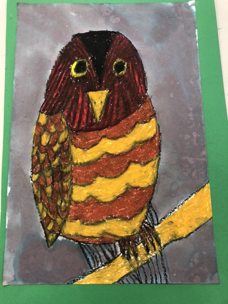 KellySpratt6's tweet photo. Lots of learning as we began to create a class website to raise awareness of animals that live on our local area to inform other students @PsElderslie Today we created clips to showcase our learning about the Powerful Owl  @Clarke4535 @tickytecky https://t.co/eYWDExQeRn