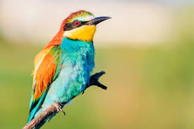 Dorota Dorcia #ateizm #TeamTuska tweet media