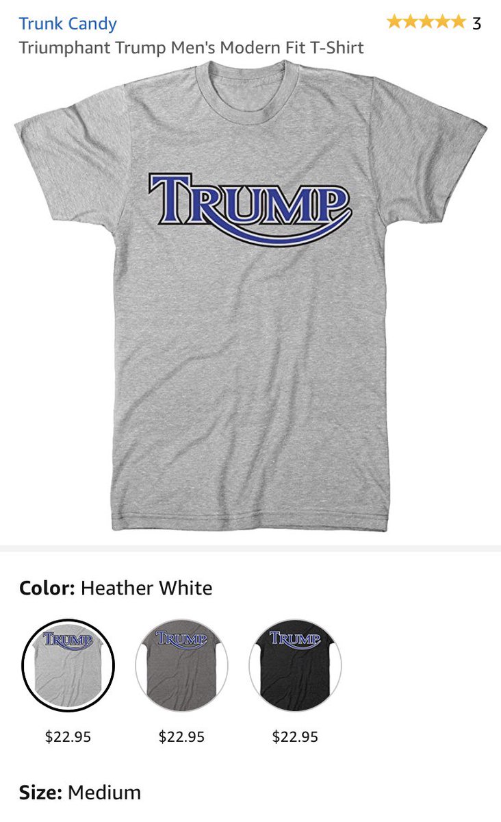 333Chani's tweet photo. @TriumphAmerica wondering if this is an approved imitation of your iconic logo? Love your machines (but not the political machines) https://t.co/uZZxExzvGz