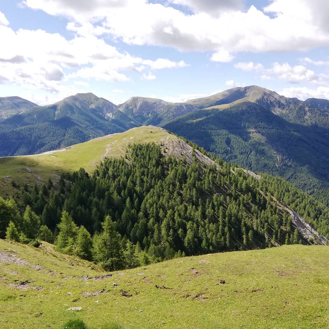 falseNeutrall's tweet photo. Nockalmstraße 🤟
#triumph #motorcycle #Explorer1200
#travel #alpenroad https://t.co/dV5LX5ySvf