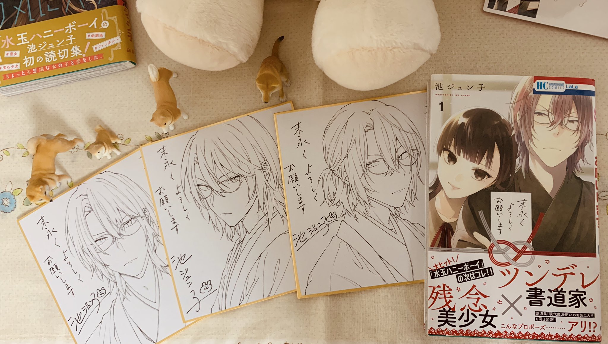 最新情報 水玉ハニーボーイ 5 池ジュン子直筆等身大キャライラスト入り
