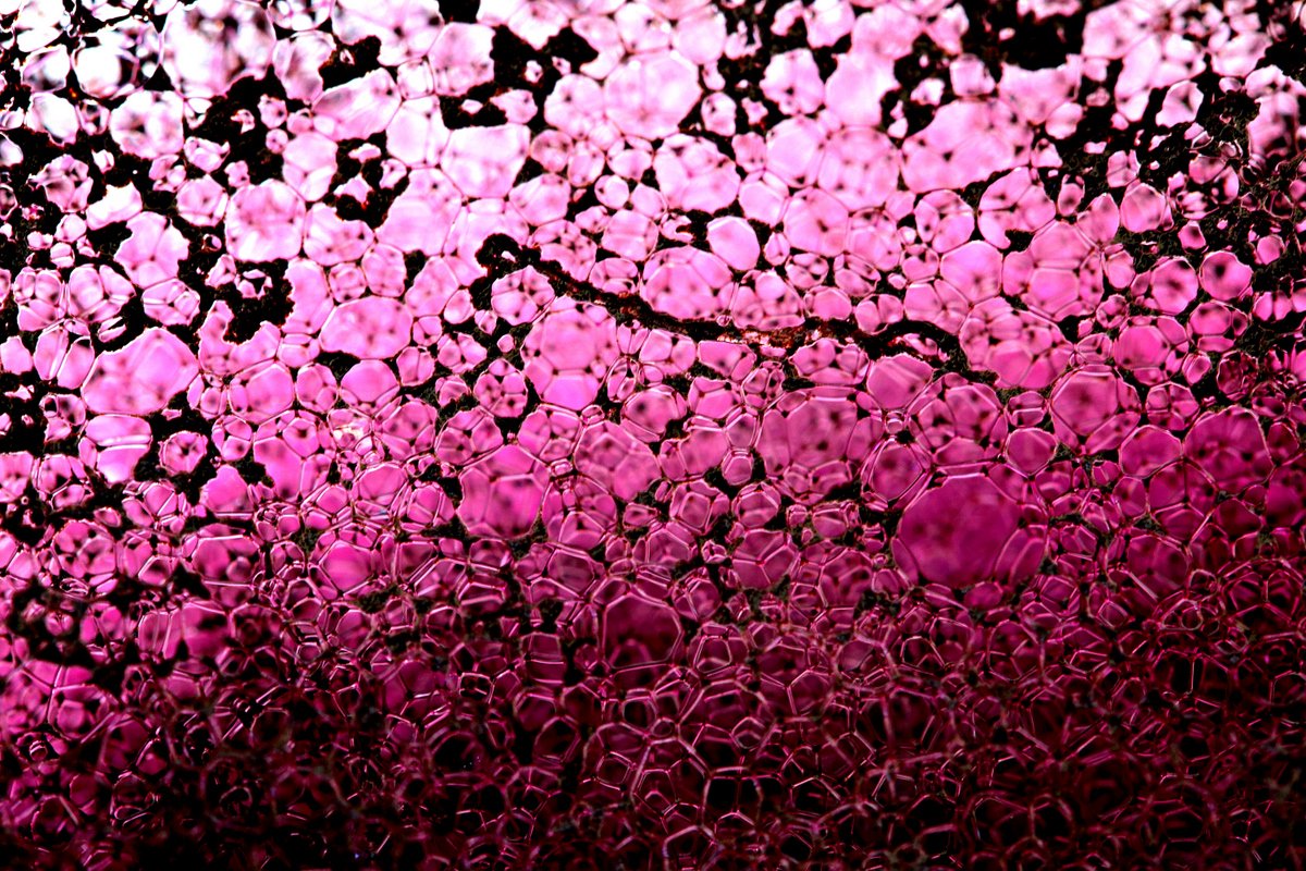 np_photographer's tweet image. bit.ly/3flVwys Home experiments #bubbles #homeexperiments #easyscienceexperiments #kidsexperiments #creativephotography #abstractphotography #abstract #creativephotoideas #homeideas #canon80d #macrophotography #macrophotographyideas