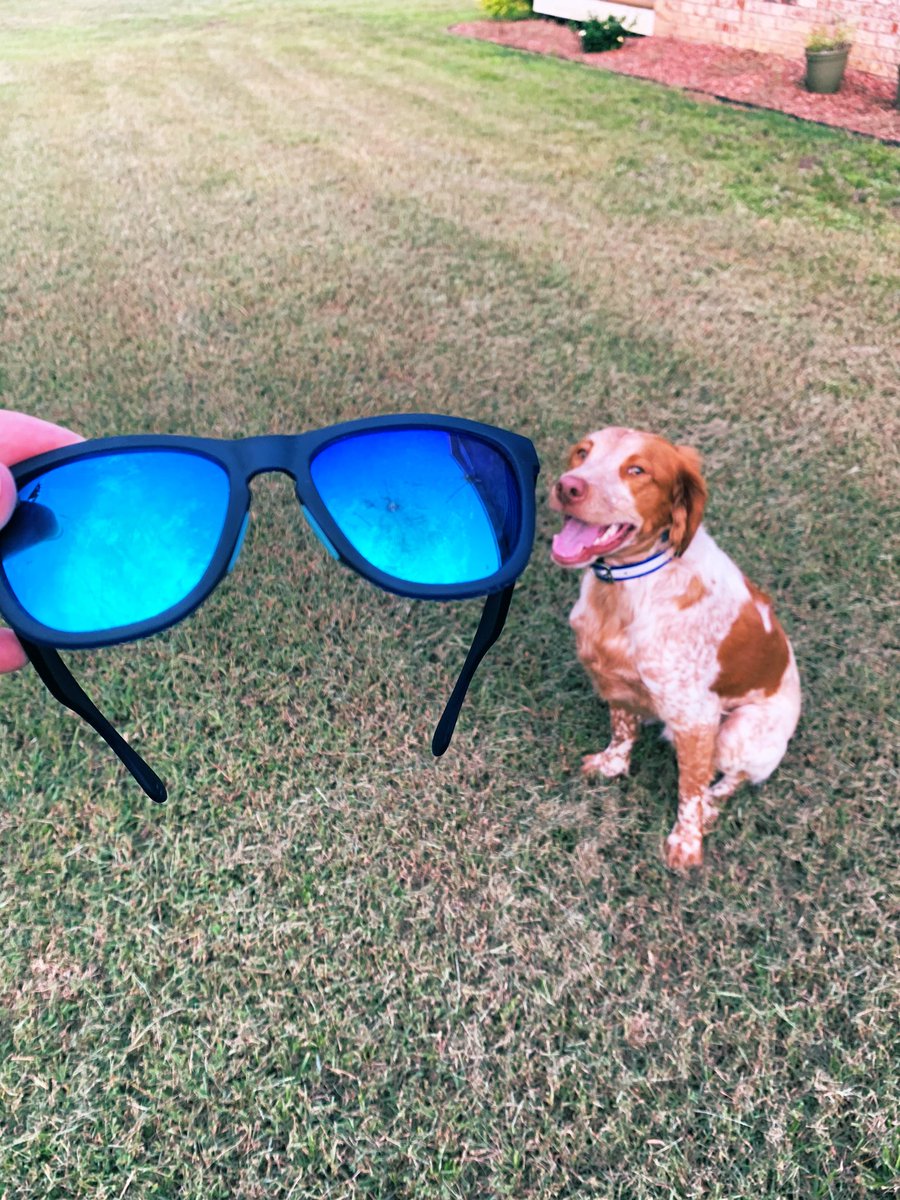katrinaruns's tweet photo. It seems Atlas loves @Knockaround shades, too. 😩 Another pair is on the way because I LOVE these for running and daily use.
He doesn’t even look like he’s sorry. 🤷♀️ #summerknocksbr #bibchat https://t.co/D8U1hyMgXK
