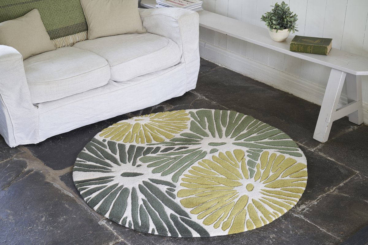 Belma Kapetanovic tweet media