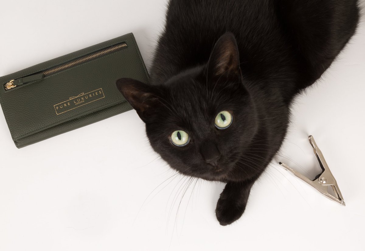 PureLuxuriesLdn's tweet photo. #workingfromhome has its perks except when they get in the way that is 😆
Anyone else dealing with #catissues working from home? Or is it just us. #𝐁𝐞𝐡𝐢𝐧𝐝𝐭𝐡𝐞𝐬𝐜𝐞𝐧𝐞𝐬 https://t.co/Ka9KtDoHwT