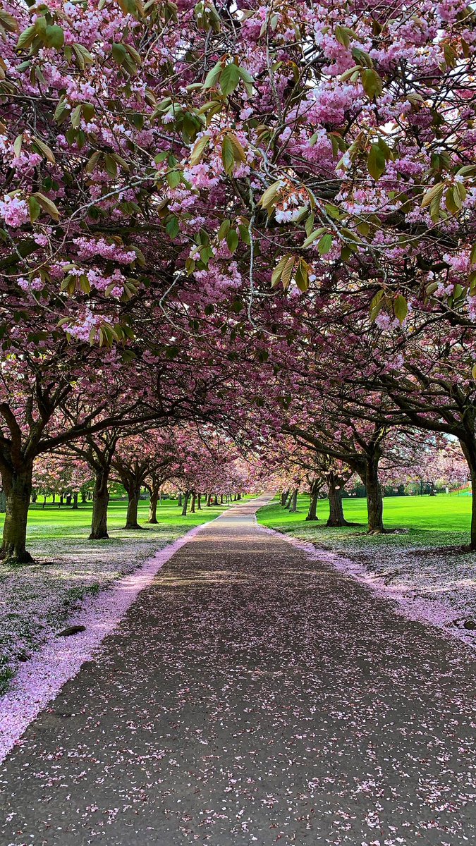 DundeeCulture's tweet image. Claire Baillie (@gwhc93) is another brilliant photographer from the city! Claire's amazing photography showcases Dundee at its finest! Claire shares her beautiful images with Dundee Culture and it is a pleasure sharing them with all of you! #ThankYouClaire 📸❤️
