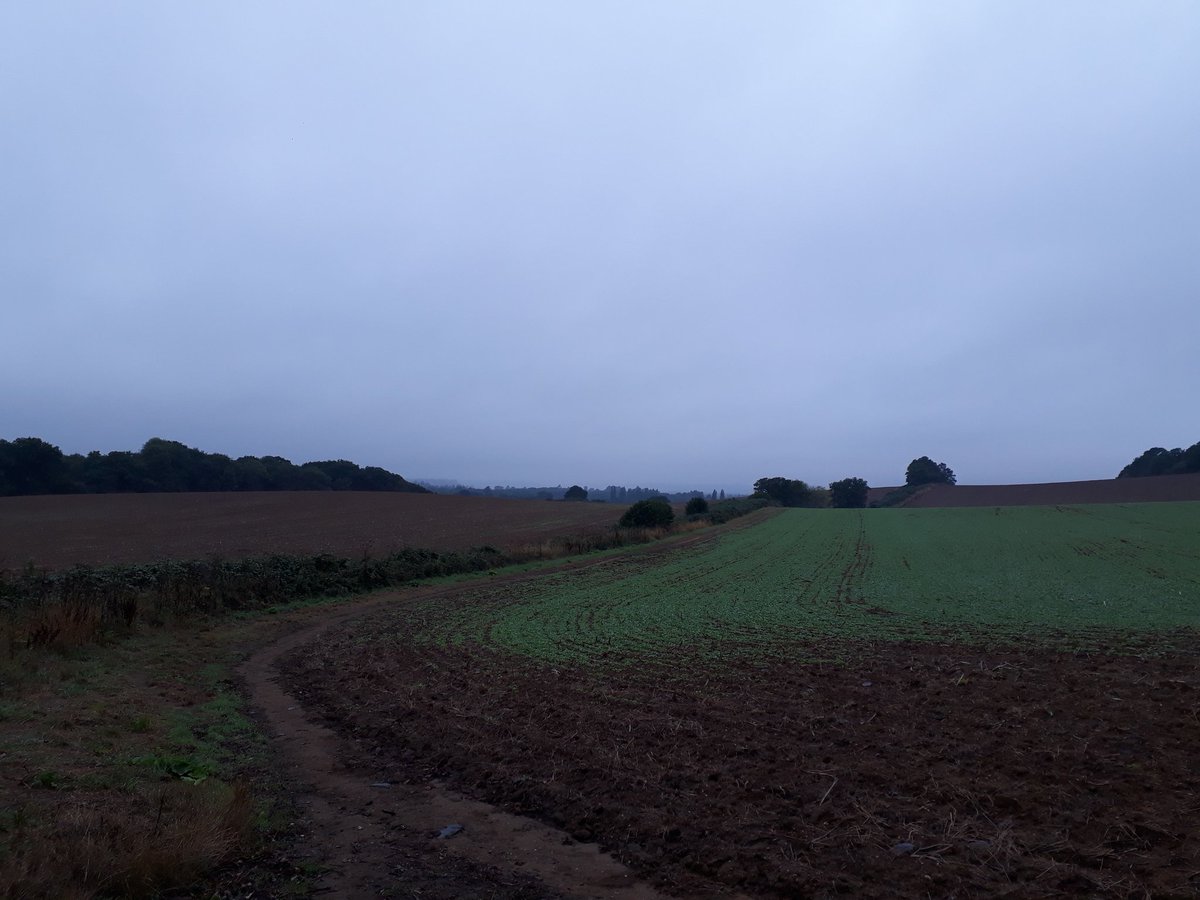 MrPB_Esq's tweet photo. Soaked to the fur, finding a rainbow and some paws of elevation for our @YLSportive #YLSportive in the beautiful Surrey Hills this wet Wednesday morning... it was wonderful...
π»π΄ββοΈπ§πβ°
Warming up with a cuppa and some made in Yorkshire #CogsNCakes smackerels...
π»β€βπͺ https://t.co/nxVRkALeGF