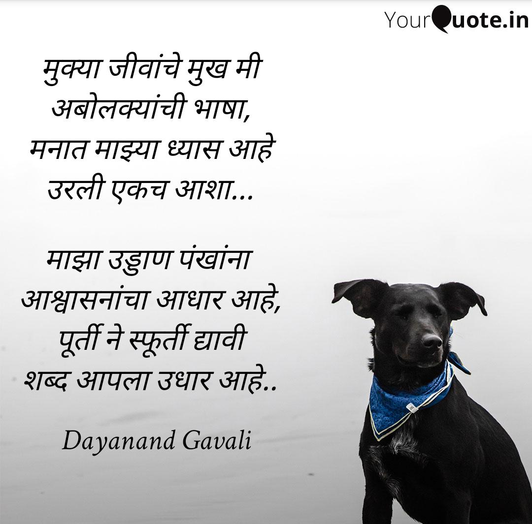 AjayMendake15's tweet photo. #IncreaseInternshipAllowance
 @AsimSarode
@AmbikaHira
@gauri_maulekhi
@India_NHRC
@kartick_wildsos
@shaazjung
@fayedsouza
@pfaindia
@peta
@PetaIndia
@priyankachopra
@rampalarjun
 @VidyutJammwal
@PrasannJOSHI
@SunilKedar1111 
@drsanjeevbalyan https://t.co/h9VlwgFBwJ