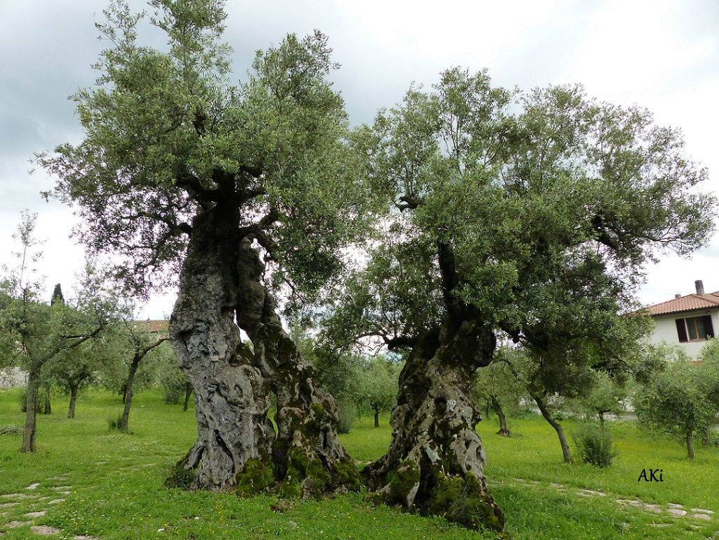 Anett Kirchner 🍀 tweet media