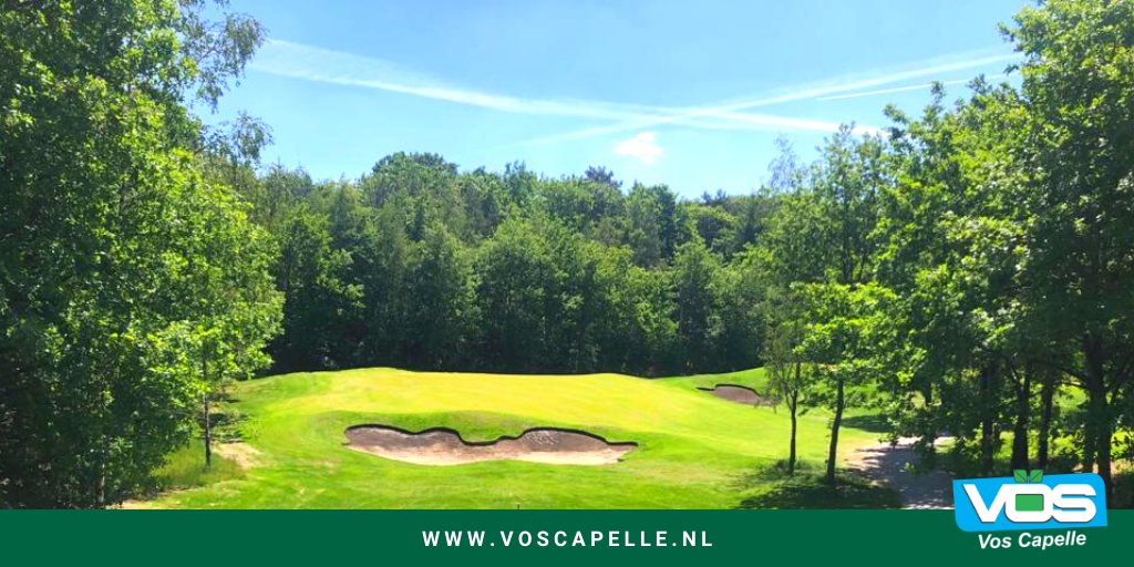 Vos Capelle (@voscapelle) on Twitter photo Bij Schaerweijde Golf zijn alle holes gerenoveerd naar ontwerp van Alan Rijks Golf Course Design. In februari is <a href="/DeRidderBV/">De Ridder B.V.</a> gestart met de werkzaamheden. De greens zijn in juli in gebruik genomen. Mooi project voor ons als leverancier van meststoffen en <a href="/BarenbrugNL/">BarenbrugHolland</a> graszaad. Bij Schaerweijde Golf zijn alle holes gerenoveerd naar ontwerp van Alan Rijks Golf Course Design. In februari is <a href="/DeRidderBV/">De Ridder B.V.</a> gestart met de werkzaamheden. De greens zijn in juli in gebruik genomen. Mooi project voor ons als leverancier van meststoffen en <a href="/BarenbrugNL/">BarenbrugHolland</a> graszaad.