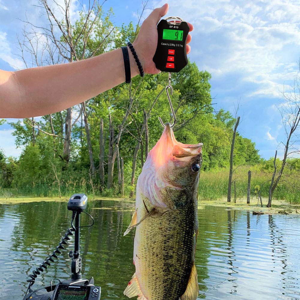 Digital_Scales_Jason on X: 🎣🎣🎣SF-910 Plastic Crane Scale 200kg/50g  Portable Electronic Digital Backlight LCD Display Hanging Scale for Home  Farm Market Fishing! #summer #fishing #scale #fishingscale #digitalscale  #electronicscale #weighingscale