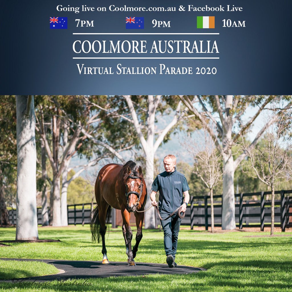 Tom Magnier Coolmore tweet media