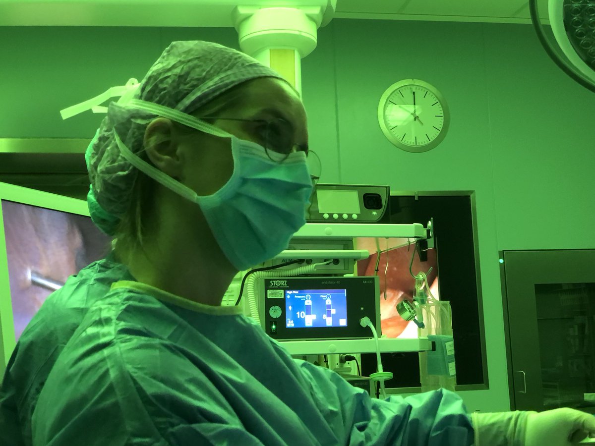 David Zimmerman tweet media