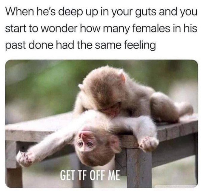 Upset the rest of the night on my pure soul I am 🤦🏾&zwj;♀️ https://t.co/JNLWP7stSM<a href="/tag/tadow"class="tags"><span>#tadow</span></a>