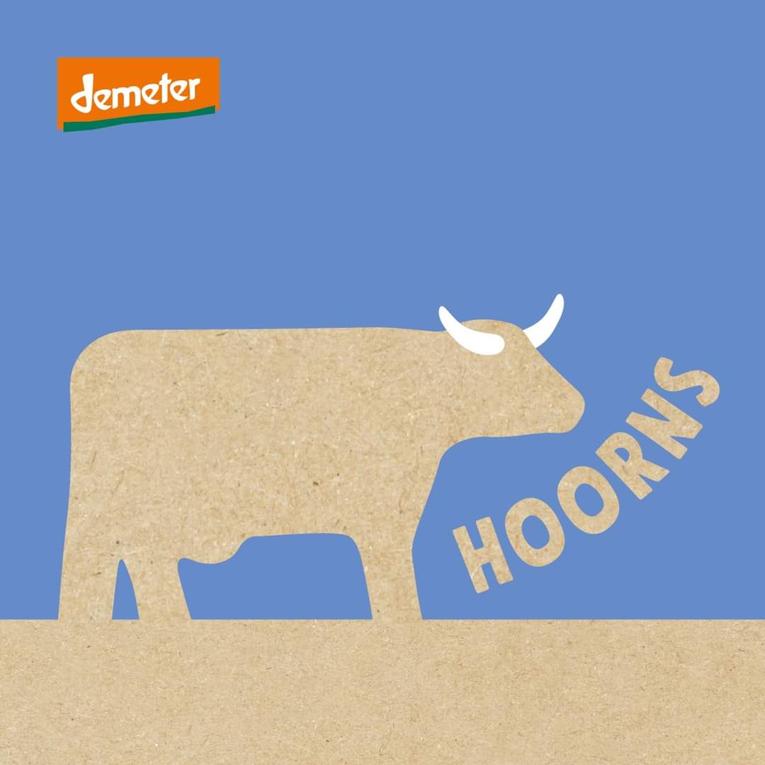 “Hoorns zijn wezenlijk onderdelen waarmee koeien zich optimaal als koe kunnen gedragen. Een koe met hoorns heeft wel meer leefruimte nodig.”
Anne Koekoek,
Zuiver Zuivel melkveehouder Harlingen