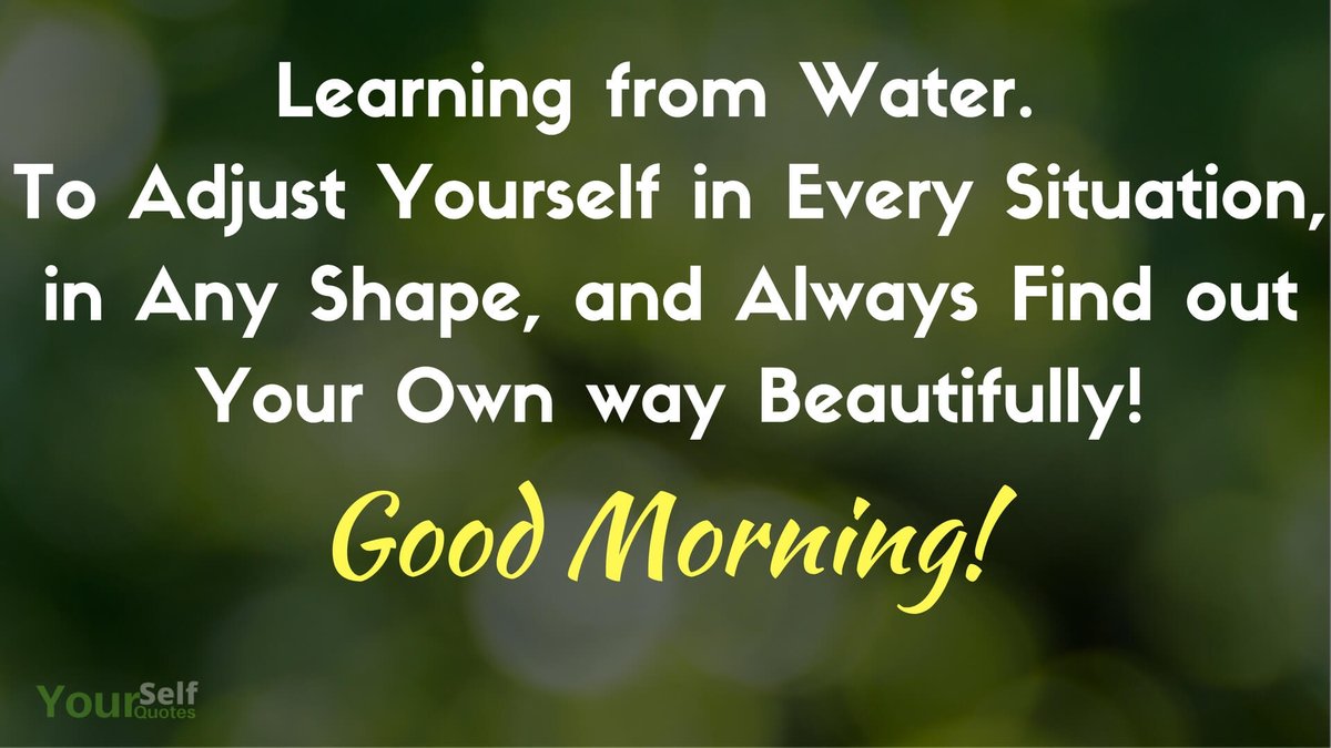 WSQwest_'s tweet photo. ☀️Happy Wednesday ! 
We are Half way through the week already! 🙌

- We hope you have a very productive day! 🌟

#WednesdayThoughts #WednesdayWisdom #WednesdayMotivation #WednesdayVibes #GoodMorning https://t.co/aHjoMaBILn