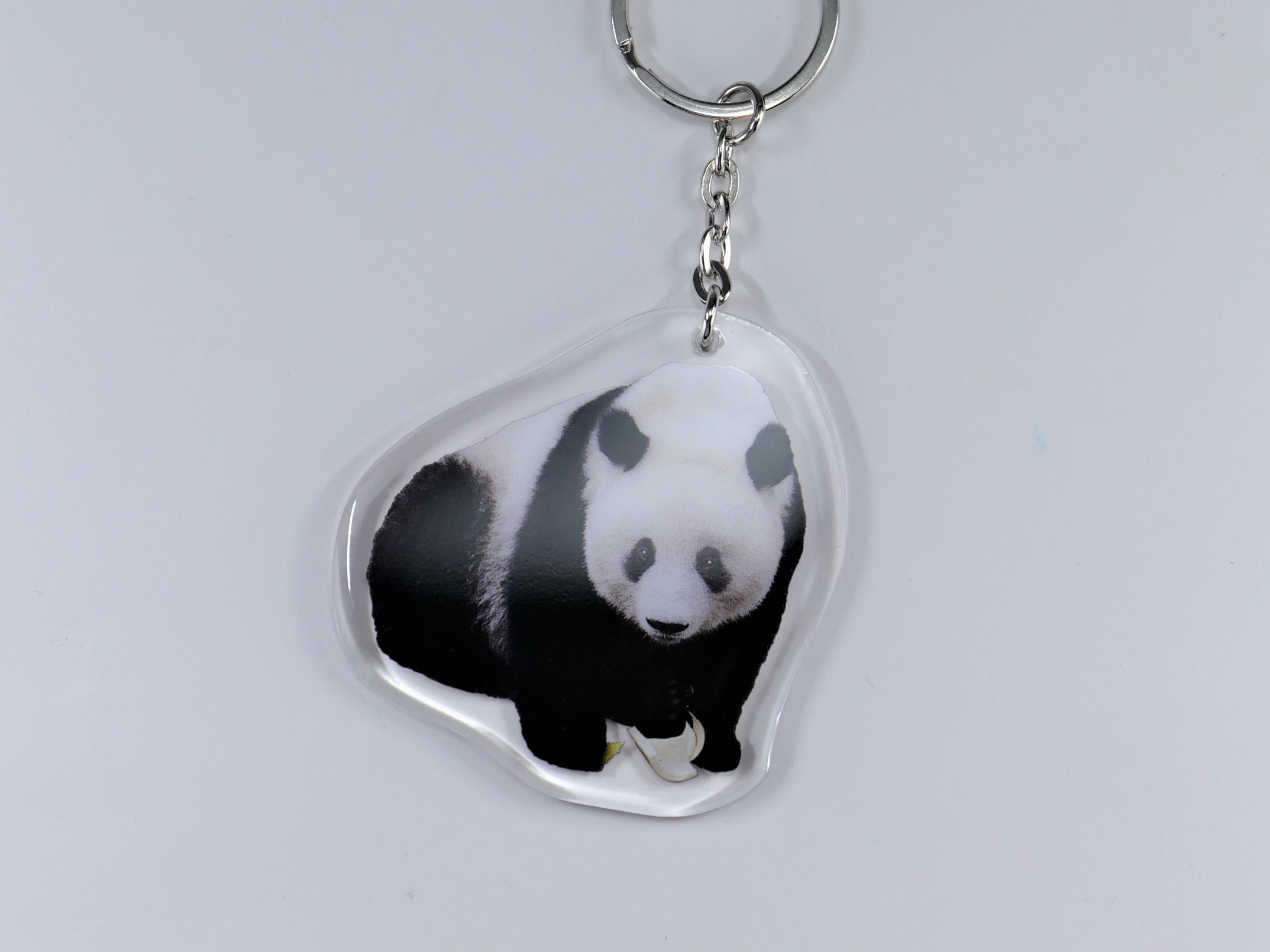 上野動物園［公式］ on X: 