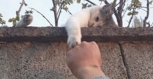 Değişmem gülüşünü.