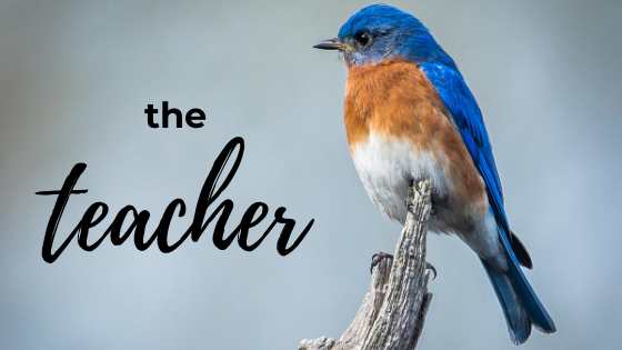 After looking at some learning theory and a little look at if Twitter is any good for the learner it is time to take a look at what it can (or cannot do) for the teacher