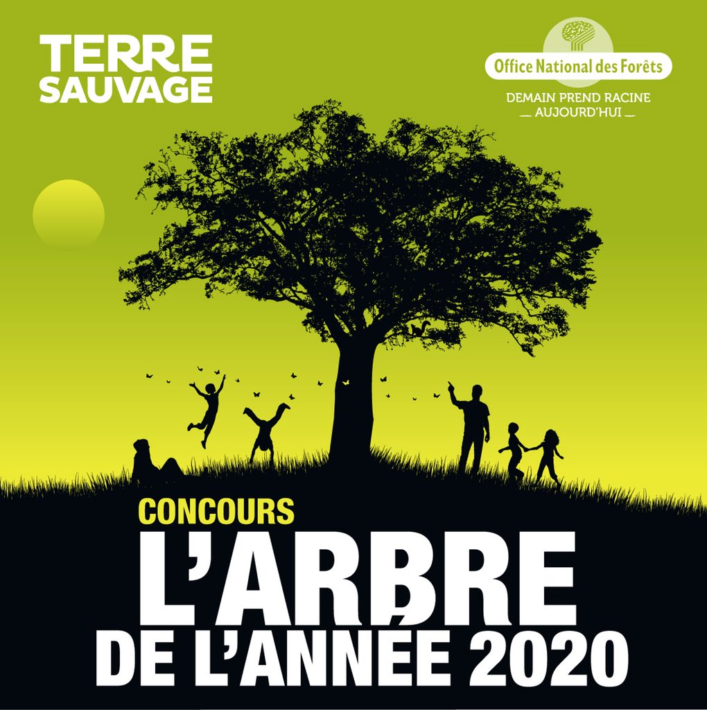 J-5 avant la clôture des dépôts de candidatures pour le concours de l arbre de l année ! Tentez l aventure ! Un arbre compte dans votre vie ? Présentez le au jury wwwarbredelannee.com #ONF #AEV #arbresremarquable #concours