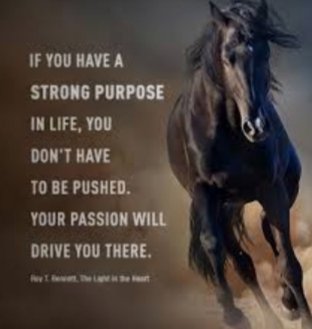 MajorWaheed's tweet photo. A person with #StrongPurpose needn't be pushed,his #Passion will drive him to his #destination
#dontgiveup #courage
#Enthusiasm #faith #mindfulness #JoyTrain #Joy #SuccessTRAIN #WednesdayWisdom
@KariJoys @gary_hensel @Sunita_Says_ @ahmednkhan @kalimullah2
Peace n Love
🌿⚘🌿 https://t.co/8Inmeaf9f6