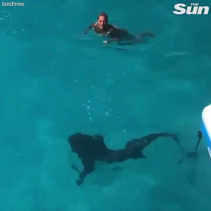 Mum celebrating her birthday plunges down a slide only to come face to face with an 8ft shark