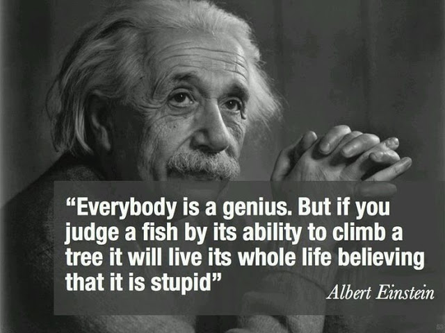 #WednesdayWisdom "Everybody is a genius. But if you judge a fish by its ability to climb a tree it will live its whole life believing that it is stupid"😁