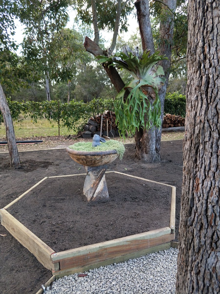 bathtubfarmer's tweet photo. The #garden bed is finished! #handyhusband and #handydad put in a MASSIVE day to finish it off. I did help, but feel like I should get no credit #afternoonnap. Now to finish planning what I want to put in there. Bring on spring! #vegetablegarden #queensland https://t.co/XUXKaB2FQs