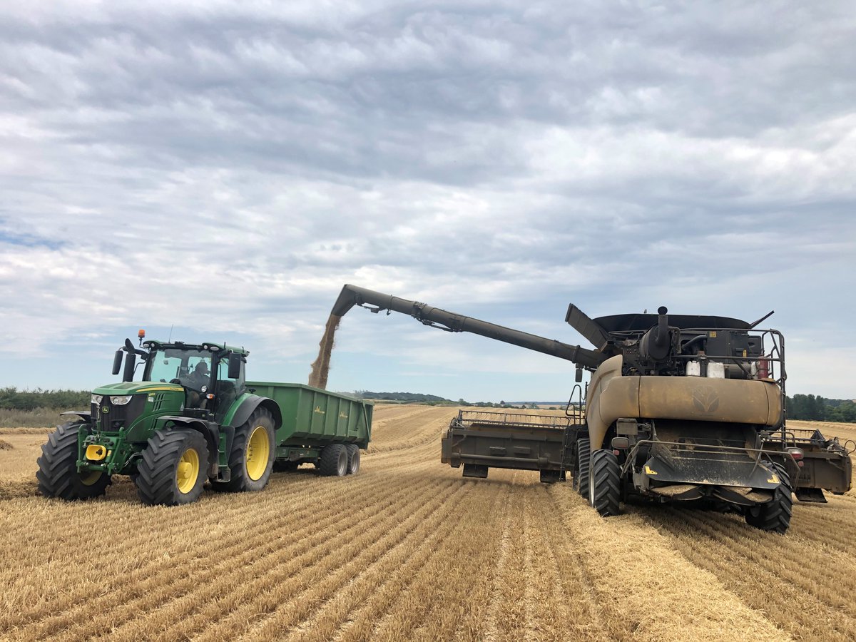 Applications for our farm manager role will close on the 24th August. Please click the link for more information about the role and to apply: cranborne.co.uk/wp-content/upl…