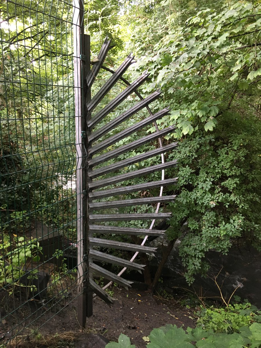 DublinGreening's tweet photo. Developing a walking methodology along the River Camac for inclusion in our D8 Greening Strategy. Thanks to @laoisboyu21 @Seoidin_ @UCD_Geography @CommonGroundDub and all our participants. #riveraccess #greenaction #ubipix #greeningthecity. https://t.co/tuJrbjPdLw