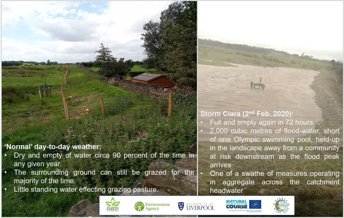 Thanks for the time, insight and strategic view yesterday @johncurtinEA. These structures look inactive in this hot, dry weather; yet when the flooding comes, they act. #SmithillsEstate <a href="/livunigeog/">livunigeog</a> <a href="/natural_course/">Natural Course</a> <a href="/EnvAgencyNW/">Env Agency NW</a> <a href="/slowtheflow_UK/">Slow The Flow</a> <a href="/RibbleTrust/">Ribble Rivers Trust</a> #NFM #NorthernForest