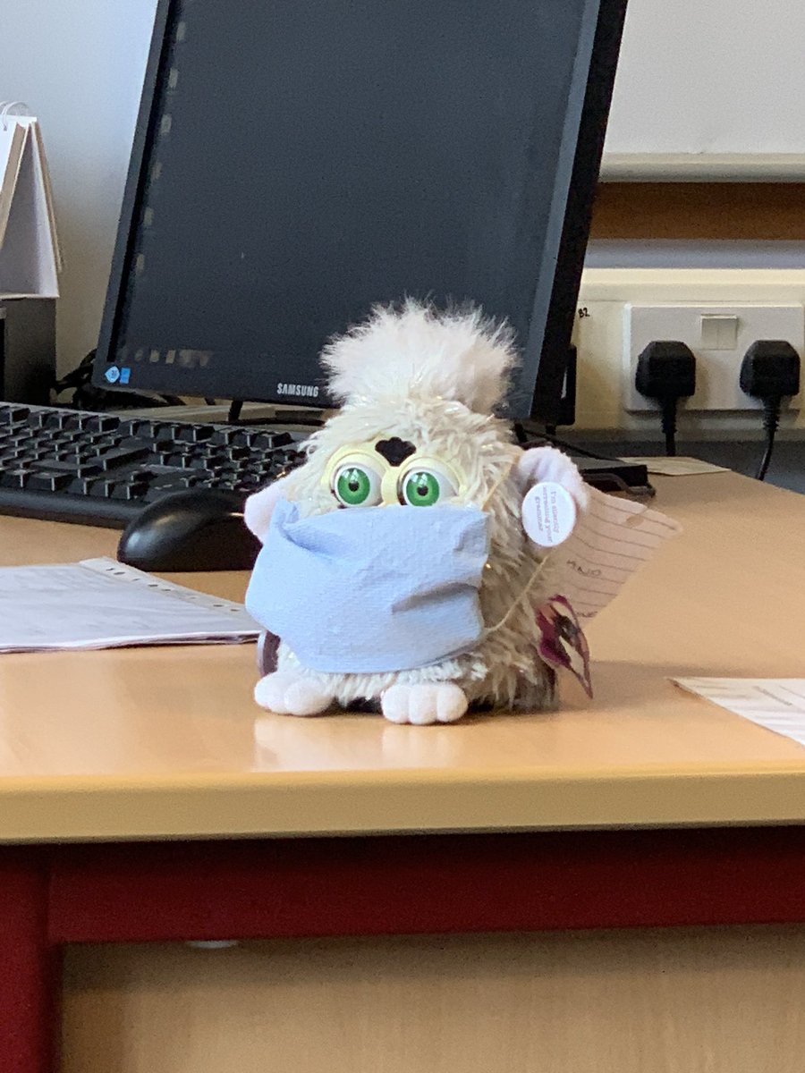 jerald_hhs's tweet image. Staying safe back at school #staysafe #WearAMask