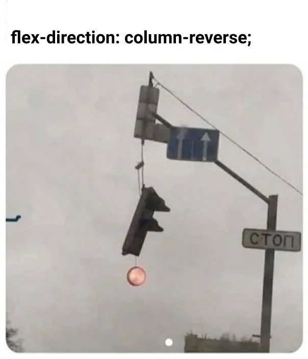 memes_developer's tweet image. #100DaysOfCode