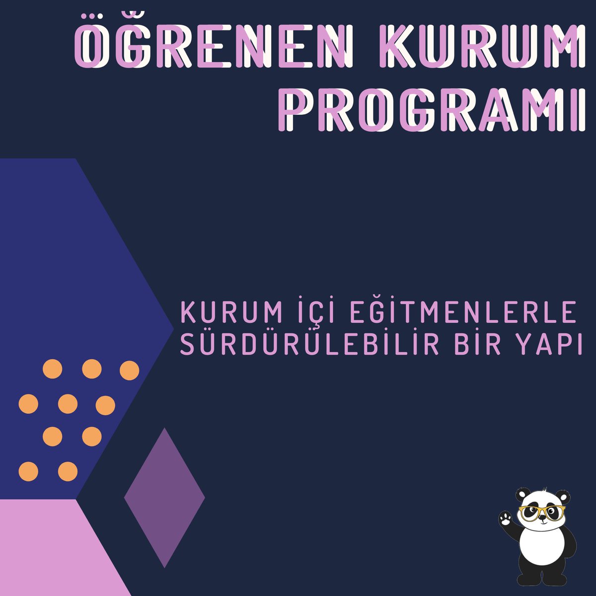 Öğrenen Kurum Programı ile paydaşlarımızın bugününe değil geleceğine ortak oluyoruz. Kurumların ihtiyaçlarını belirleyip, çalışanların öğrenme tarzlarına uygun yeni nesil öğrenme deneyimleri geliştiriyoruz. Kurum içi eğitmenlerle sürdürülebilir bir yapı kurmak için çalışıyoruz.