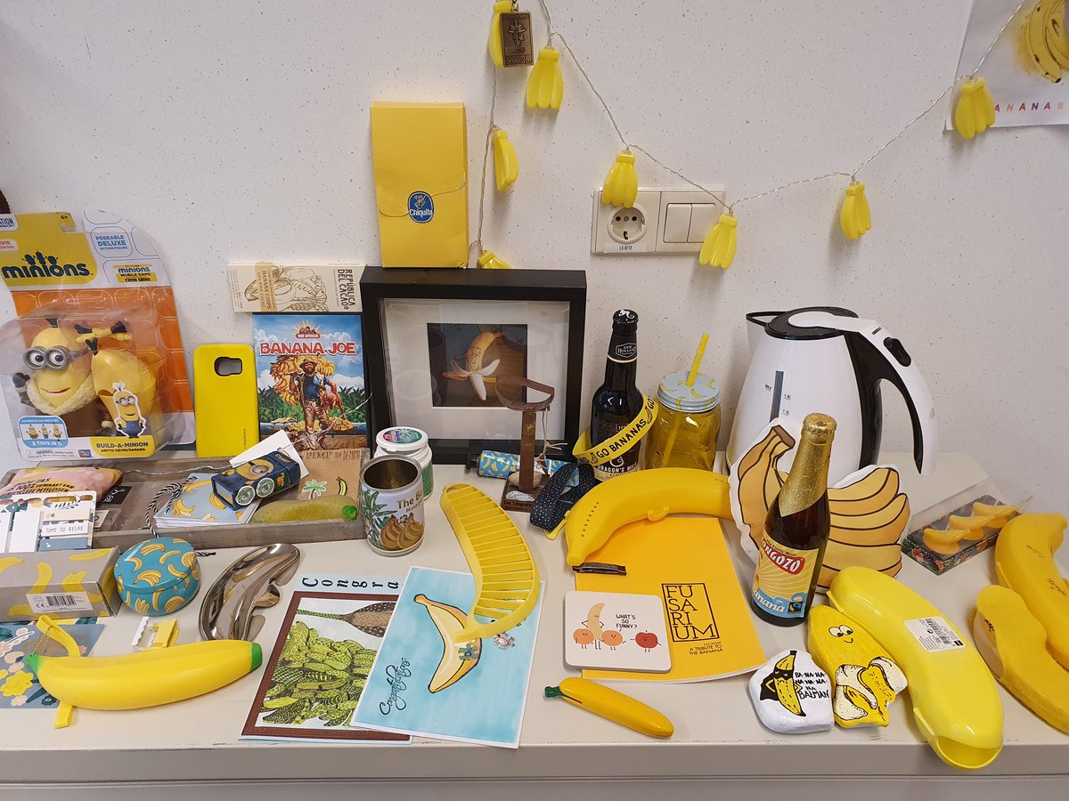 DrBananaGarcia's tweet photo. My office is going #bananas!

Thanks to all and everyone that has contributed. Your art works fit perfectly on my wall of fame. 

If you want to contribute please feel free to do so, via email or mail. 🍌 

#bananamania #sciart https://t.co/xfIHni10Ag