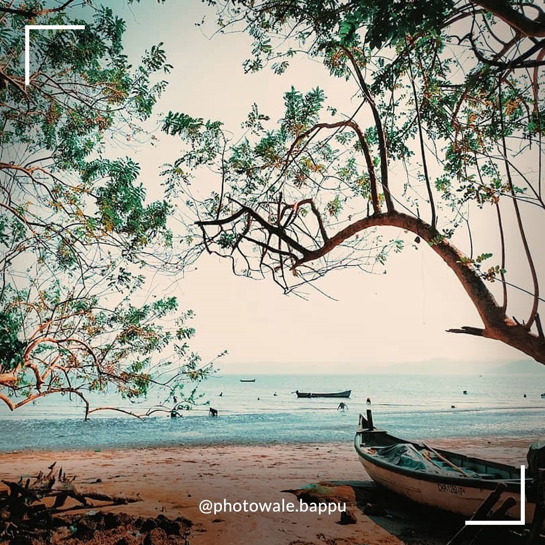 Vivanta_Goa's tweet photo. Re-discover the magic of the sun and the sea.Traverse new horizons and capture scintillating moments in Panaji, the laidback Goan capital.
On this #WorldPhotographyDay, here is a collection of our favourite captures of Panaji
#GoaGram #Visitgoa #Panaji #Photography #BeautifulGoa https://t.co/BLPIcrL5VO