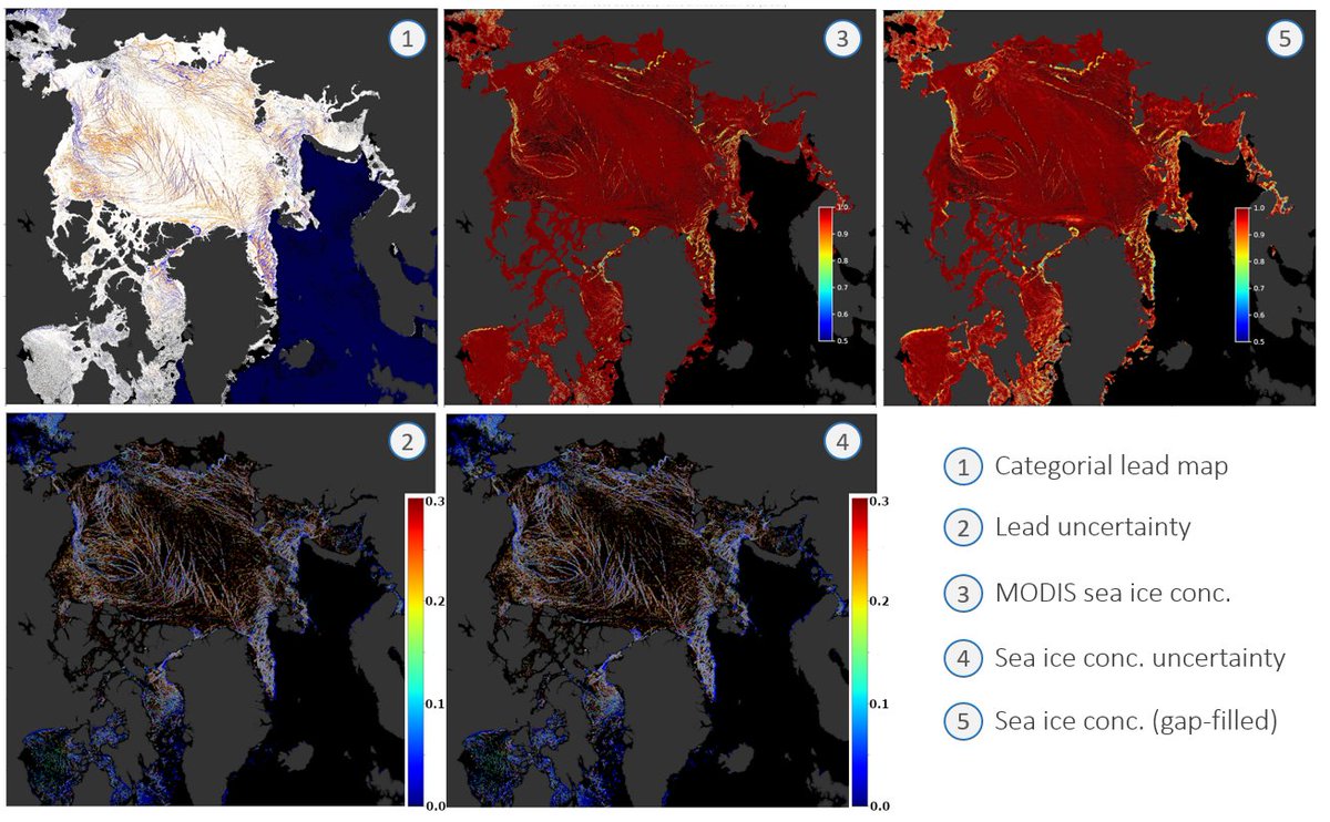 uwmtrier's tweet photo. #Arctic daily wintertime #seaice leads 2002/03 to 2019/20... 
Early subsets and test data available upon request:
https://t.co/jYzsKN4sJU
@TrierUni https://t.co/8dO857Js4P