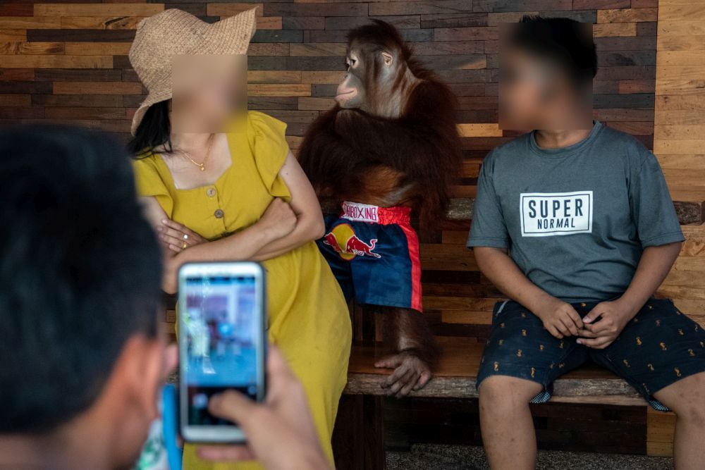 Photo credit Amy Jones-Moving Animals