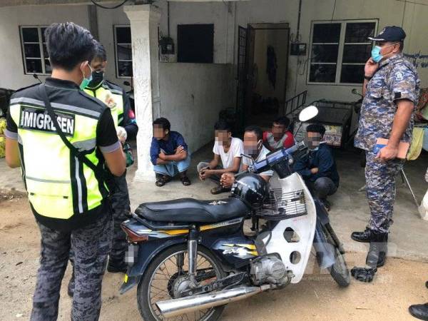imigresenmy's tweet photo. Sarang Rohingya digempur

Sumber: Sinar Harian

https://t.co/au3BCAaDMF

#imigresen #jim #covid19 #penjarakanfizikal #kitajagakita #kitamestimenang #staysafe https://t.co/TuJo97iLWp