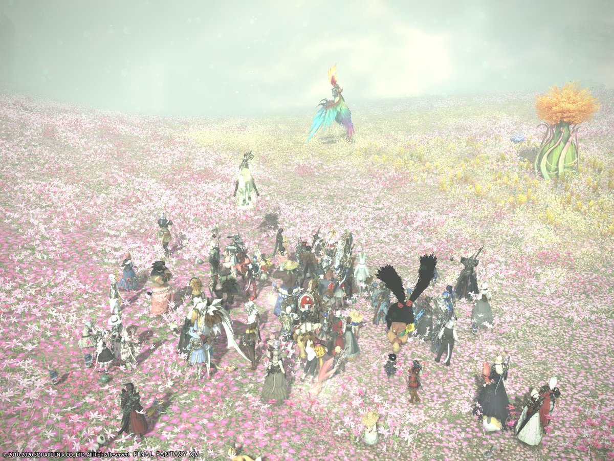 漆黒の感想まとめ Min T ミント