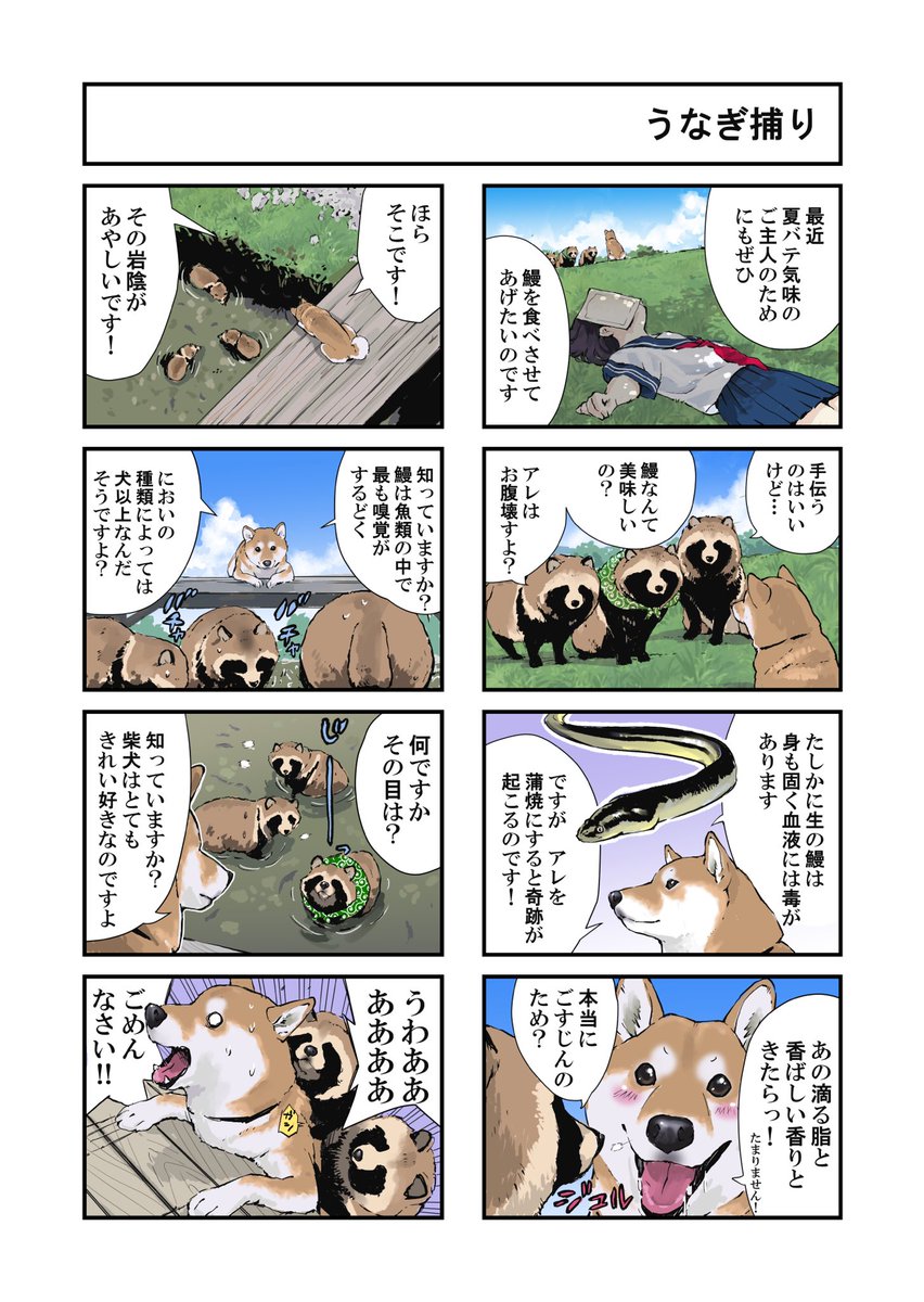 犬とタヌキと鰻の話
 世界の終わりに柴犬と 