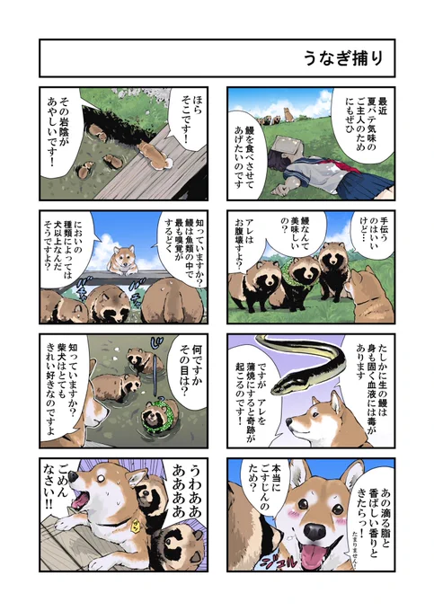 犬とタヌキと鰻の話 世界の終わりに柴犬と 