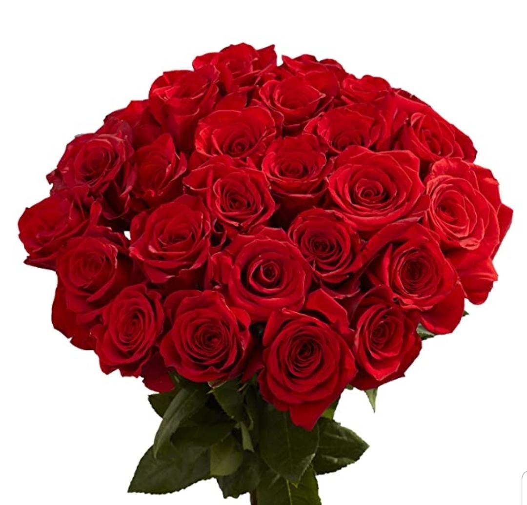 12. What would you like to receive from your date? #TheBlindDate 1