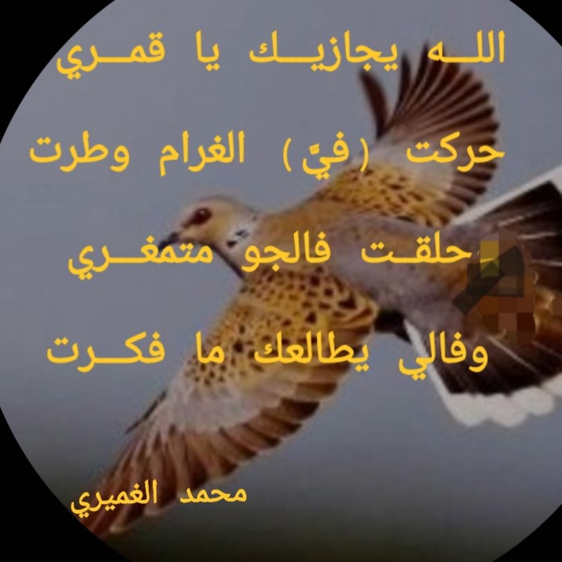 698_mooooom's tweet photo. اللـــه يجازيـــك يا قمـــري 
حركت (فيَّ) الغرام وطرت
وحلقــت فالجو متمغـــري 
وفالي يطالعك ما فكـــرت https://t.co/IEbUSqwbnM