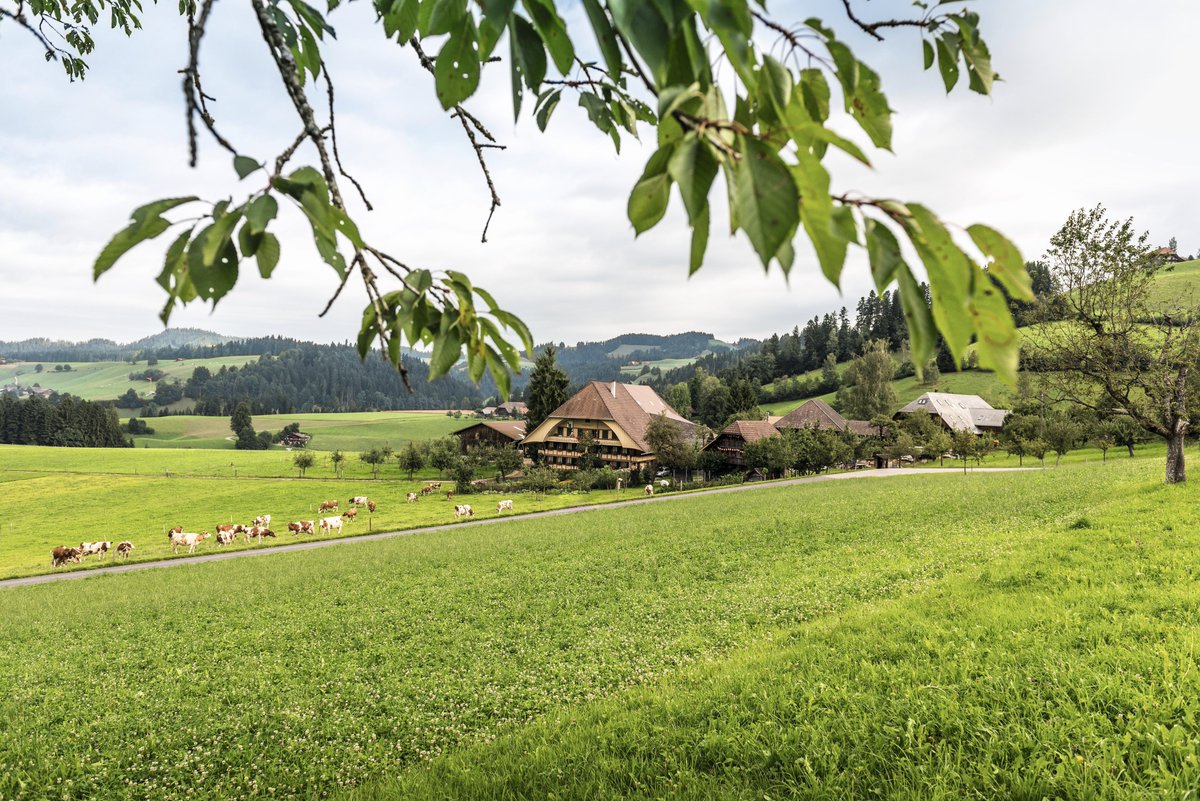 MySwitzerlandAR's tweet photo. المغامرات بانتظاركم:
مباشرة خارج العاصمة بيرن، يمكنك أن تجد الطرقات ذات المشاهد الخلابة في وادي إيمينتال الشهير!
#cheese #emmentaler #visitbern #madeinbern
https://t.co/eY4izQk2zD https://t.co/rfC4TUvQMd
