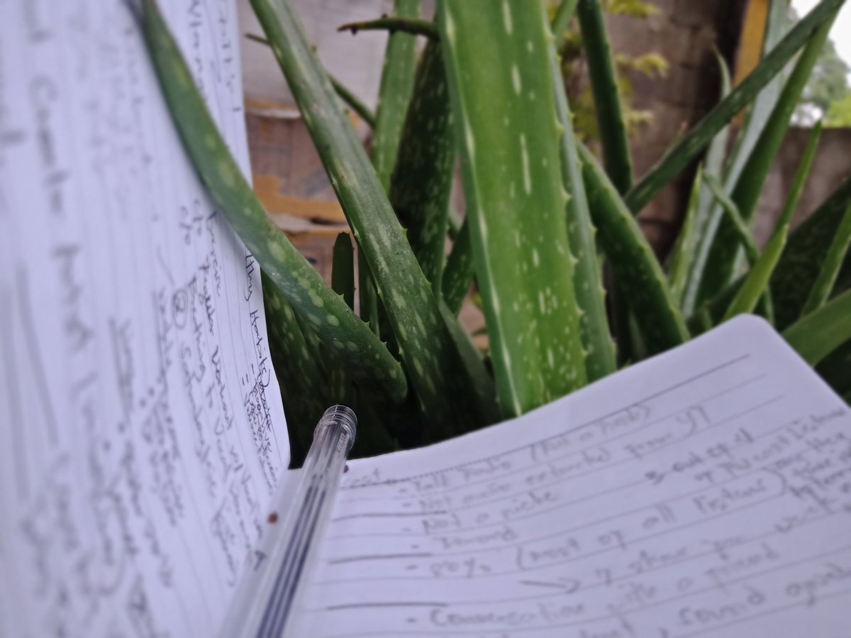 LauWSScenes29's tweet image. #SharedThoughts

Slow is fast, everything takes time.

You&apos;ll get there.

Dasig #BisDak😊😁