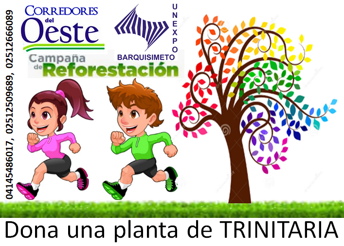 @victortorrealbaleal Los Corredores del Oeste encabezan una  jornada de reforestación para contribuir con el cuidado del ambiente y abonar en la recuperación de las áreas verdes de la UNEXPO. Por tal motivo necesitamos la  colaboración  de  plantas de trinitarias.