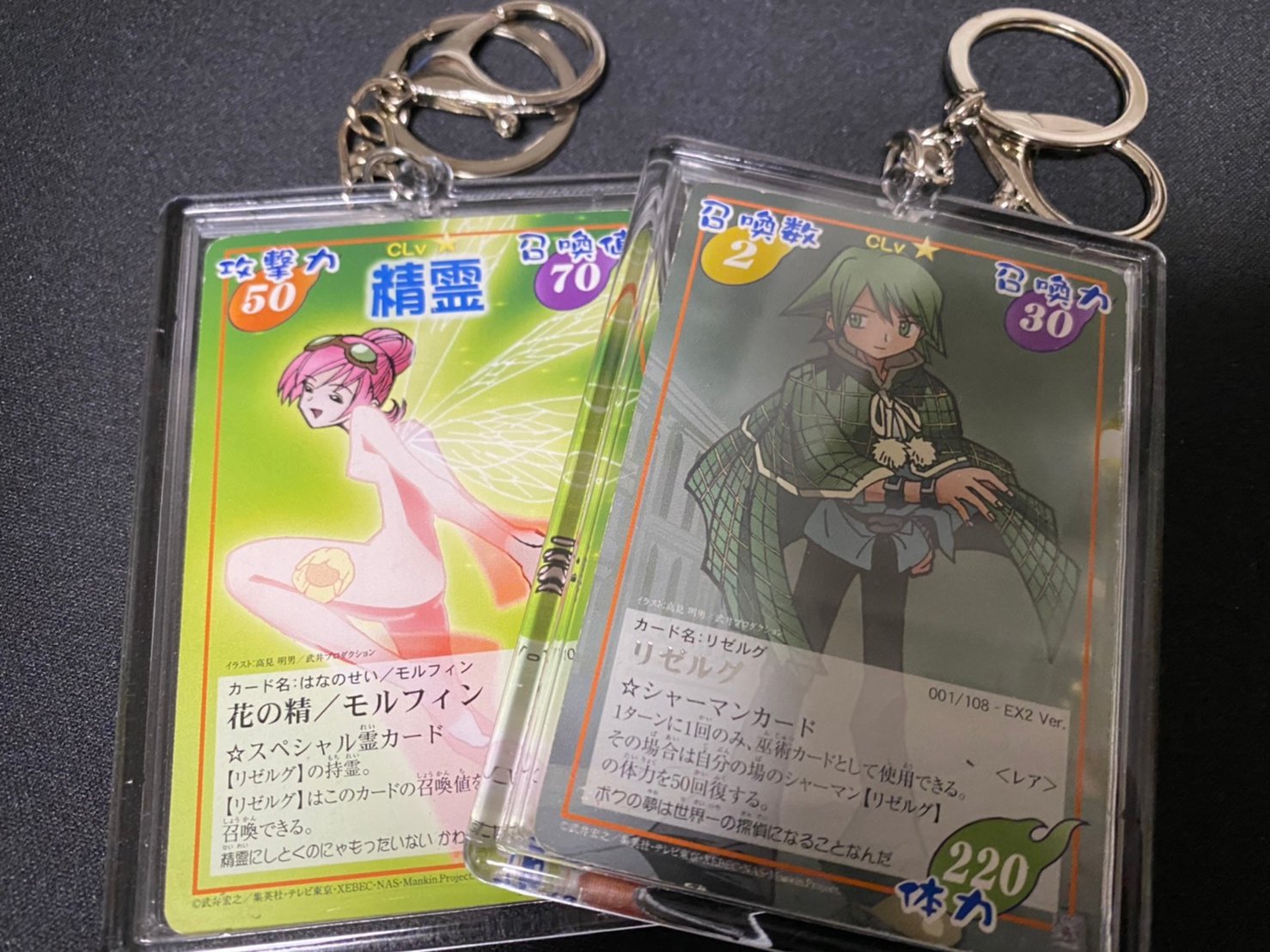 シルク デネブログの中の人 100均のアクリルキーホルダーにいろんなカード入れてみた シルク デネブログの中の人 100均のアクリルキーホルダーにいろんなカード入れてみた